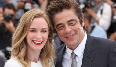 benicio del toro wife