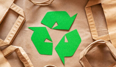 building a greener brand identity the strategic power of eco friendly bags
