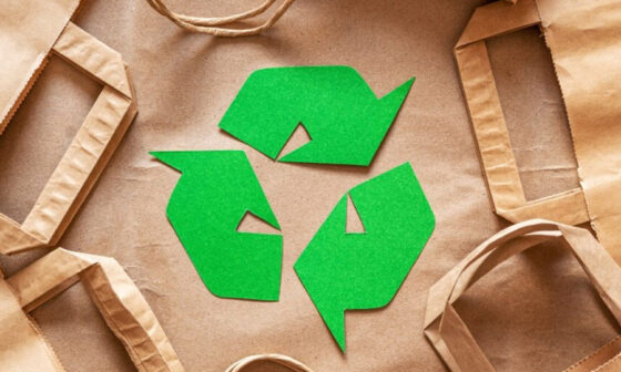 building a greener brand identity the strategic power of eco friendly bags