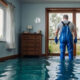 the complete roadmap to reviving your home after water intrusion