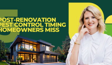 5 Post Renovation Pest Control Timing Homeowners Miss