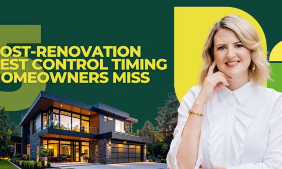 5 Post Renovation Pest Control Timing Homeowners Miss