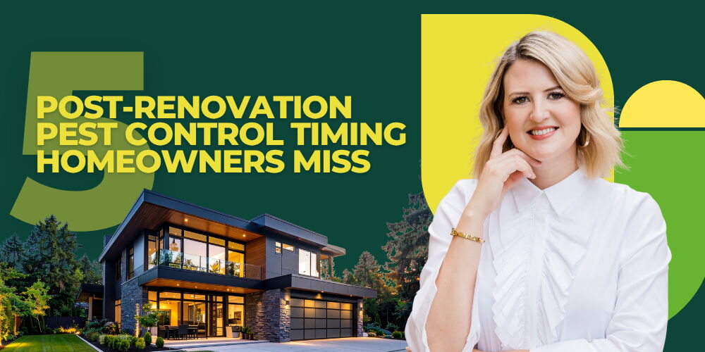 5 Post Renovation Pest Control Timing Homeowners Miss