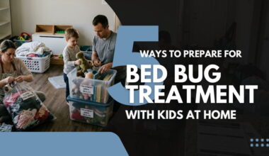 5 Ways to Prepare for Bed Bug Treatment With Kids at Home