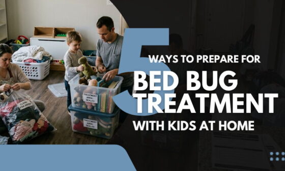5 Ways to Prepare for Bed Bug Treatment With Kids at Home
