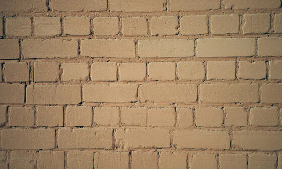 Accent Walls and Countertops