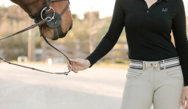 Best Equestrian Belts