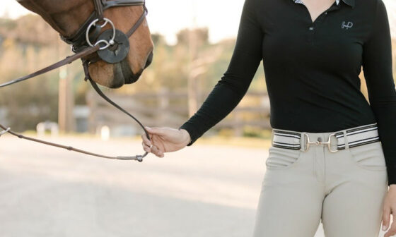 Best Equestrian Belts