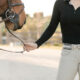 Best Equestrian Belts