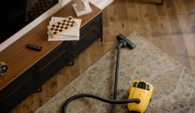 Common Carpet Cleaning Mistakes and How to Avoid Them