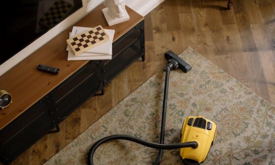 Common Carpet Cleaning Mistakes and How to Avoid Them