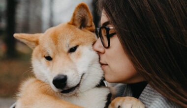 How Early Training Shapes Long Term Dog Confidence And Obedience