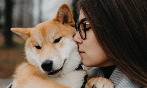 How Early Training Shapes Long Term Dog Confidence And Obedience