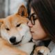 How Early Training Shapes Long Term Dog Confidence And Obedience