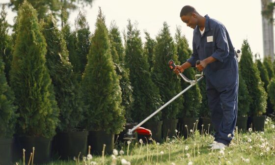 How the Right Equipment Can Transform a Landscaping Operation