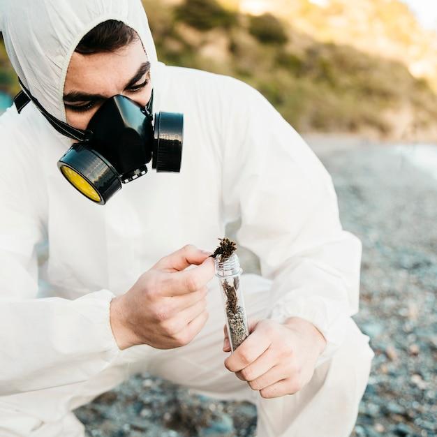 How to Prevent Stinging Insect Infestations Effectively 2