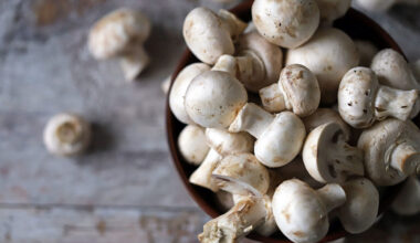 How to choose mushroom farm equipment for small and medium scale production