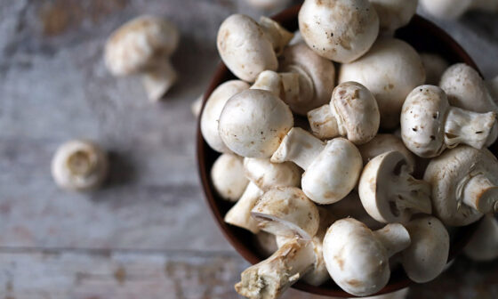 How to choose mushroom farm equipment for small and medium scale production