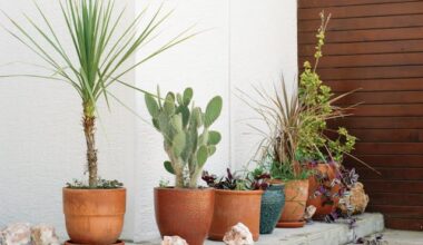 Innovative Growing Methods for Modern Gardeners