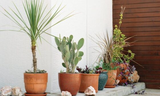 Innovative Growing Methods for Modern Gardeners