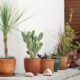 Innovative Growing Methods for Modern Gardeners