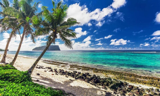 Planning Your Next Dive Trip To a Tropical Location