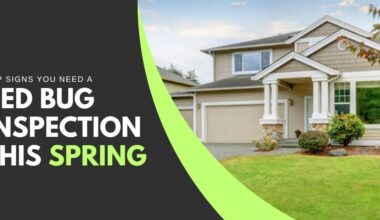 Top Signs You Need a Bed Bug Inspection This Spring