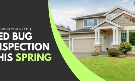 Top Signs You Need a Bed Bug Inspection This Spring