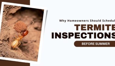 Why Homeowners Should Schedule Termite Inspections Before Summer