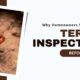 Why Homeowners Should Schedule Termite Inspections Before Summer