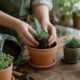 4 Screen Free Hobbies You Can Actually Keep Up With