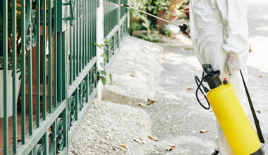A Practical Guide To Choosing A Pest Control Membership In Southern California
