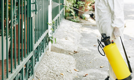 A Practical Guide To Choosing A Pest Control Membership In Southern California
