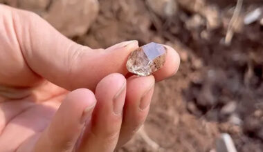 Arizonas Diamond Market