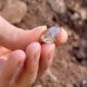 Arizonas Diamond Market