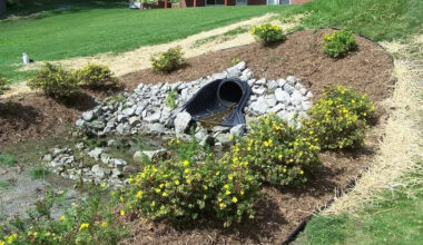 Creative Ways to Manage Stormwater Runoff in Residential Landscapes