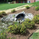 Creative Ways to Manage Stormwater Runoff in Residential Landscapes