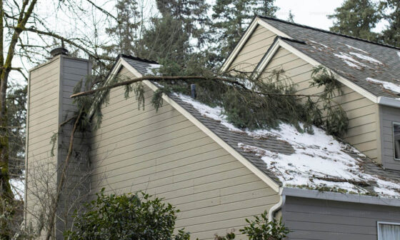 Essential Home Improvements After a Disaster