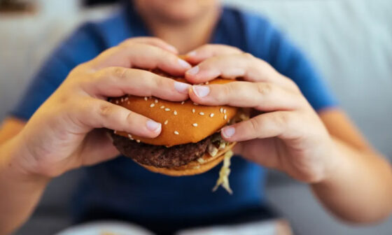 How Burger Joints Are Adapting to Changing Consumer Tastes