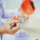 How Comprehensive Glaucoma Testing Supports Personalized Treatment Planning