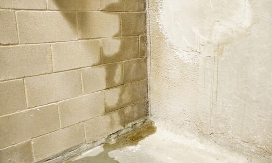 Leaking Basement Walls in Your Home