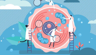 Metabolic and Cellular Health