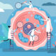 Metabolic and Cellular Health