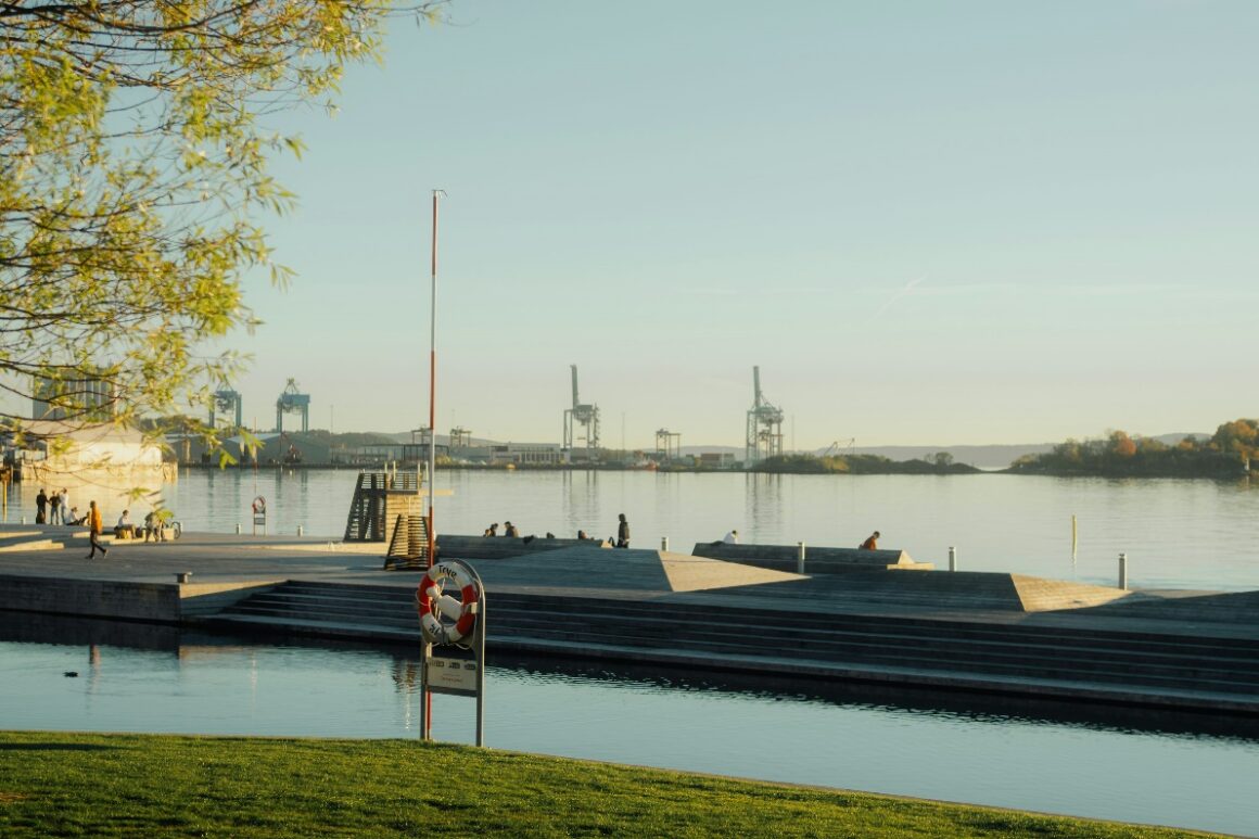 Protecting Waterfront Homes and Dock Areas from Rodent Activity