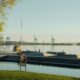 Protecting Waterfront Homes and Dock Areas from Rodent Activity