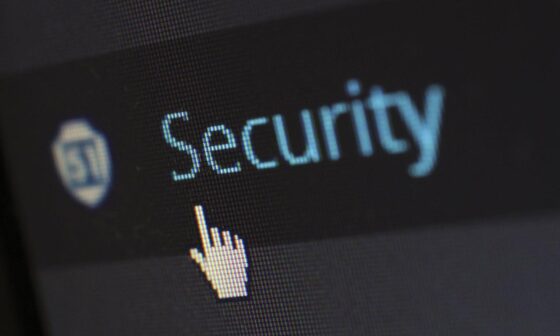 Why Security Studies Is Becoming a Popular Degree Choice
