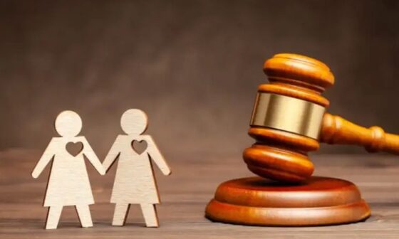 Courts Handle Custody and Property Division in Same Sex Divorce