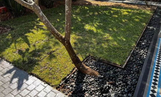 Gardens Restoration Company