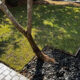 Gardens Restoration Company