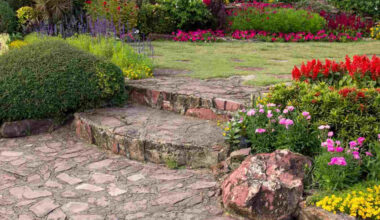 Hardscaping vs Softscaping